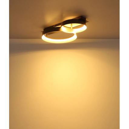 Globo - LED lubinis šviestuvas LED/24W/230V 3000K 50x35 cm
