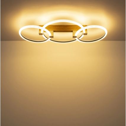 Globo - LED lubinis šviestuvas LED/40W/230V 3000K 76,1x38 cm rudos spalvos
