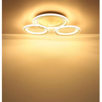 Globo - LED lubinis šviestuvas LED/40W/230V 3000K 60,5x62,5 cm