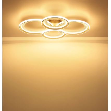 Globo - LED lubinis šviestuvas LED/50W/230V 3000K 64,5x85,5 cm