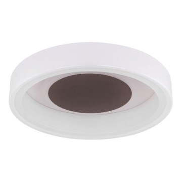 Globo 48398-24 - LED lubinis šviestuvas GOFFI LED/30W/230V