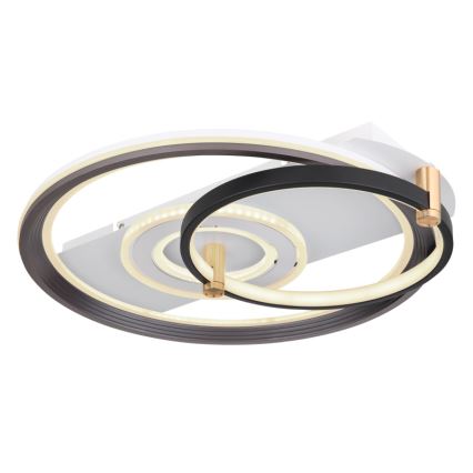 Globo 48459-46 - Dimeriuojamas LED lubų šviestuvas ANI LED/46W/230V 2700-6000K 48x52 cm + nuotolinis valdymas