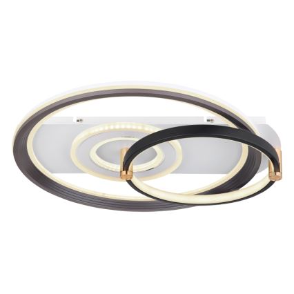 Globo 48459-46 - Dimeriuojamas LED lubų šviestuvas ANI LED/46W/230V 2700-6000K 48x52 cm + nuotolinis valdymas