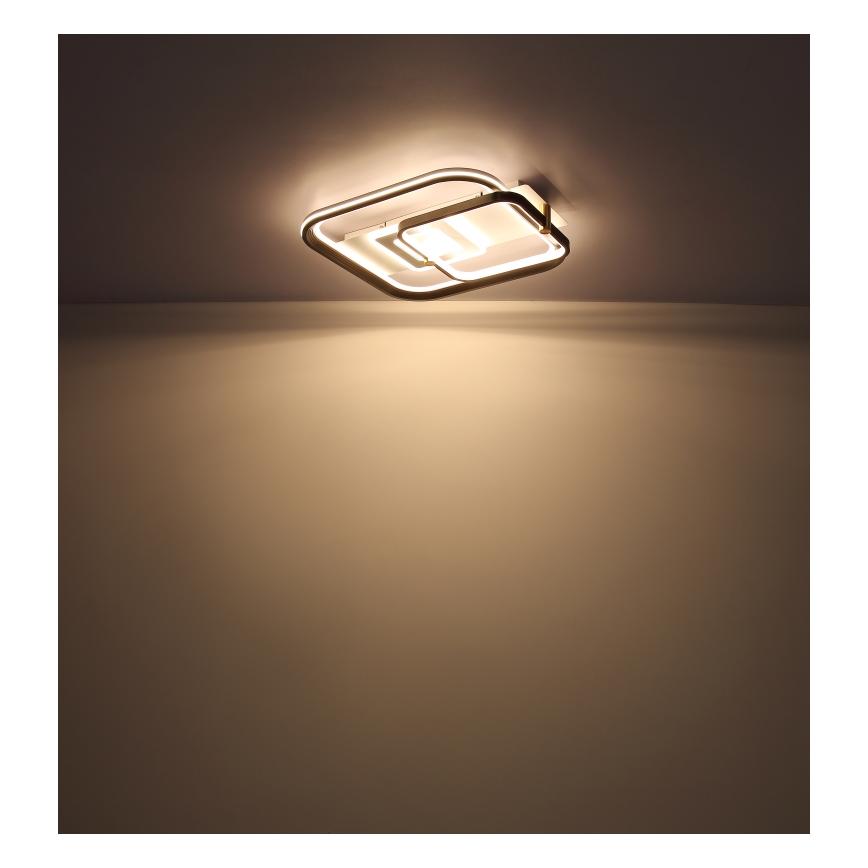 Globo 48459-48 - Dimeriuojamas LED lubinis šviestuvas ANI LED/48W/230V 2700-6000K 48x52 cm + nuotolinis valdymas