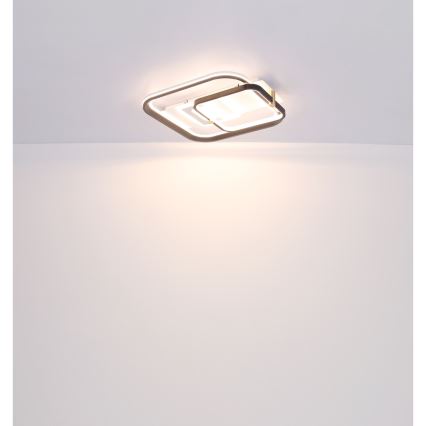 Globo 48459-48 - Dimeriuojamas LED lubinis šviestuvas ANI LED/48W/230V 2700-6000K 48x52 cm + nuotolinis valdymas