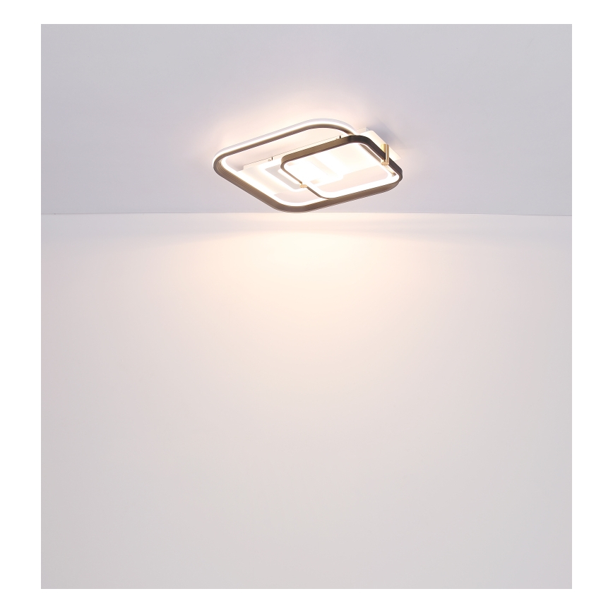 Globo 48459-48 - Dimeriuojamas LED lubinis šviestuvas ANI LED/48W/230V 2700-6000K 48x52 cm + nuotolinis valdymas