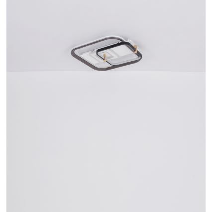 Globo 48459-48 - Dimeriuojamas LED lubinis šviestuvas ANI LED/48W/230V 2700-6000K 48x52 cm + nuotolinis valdymas