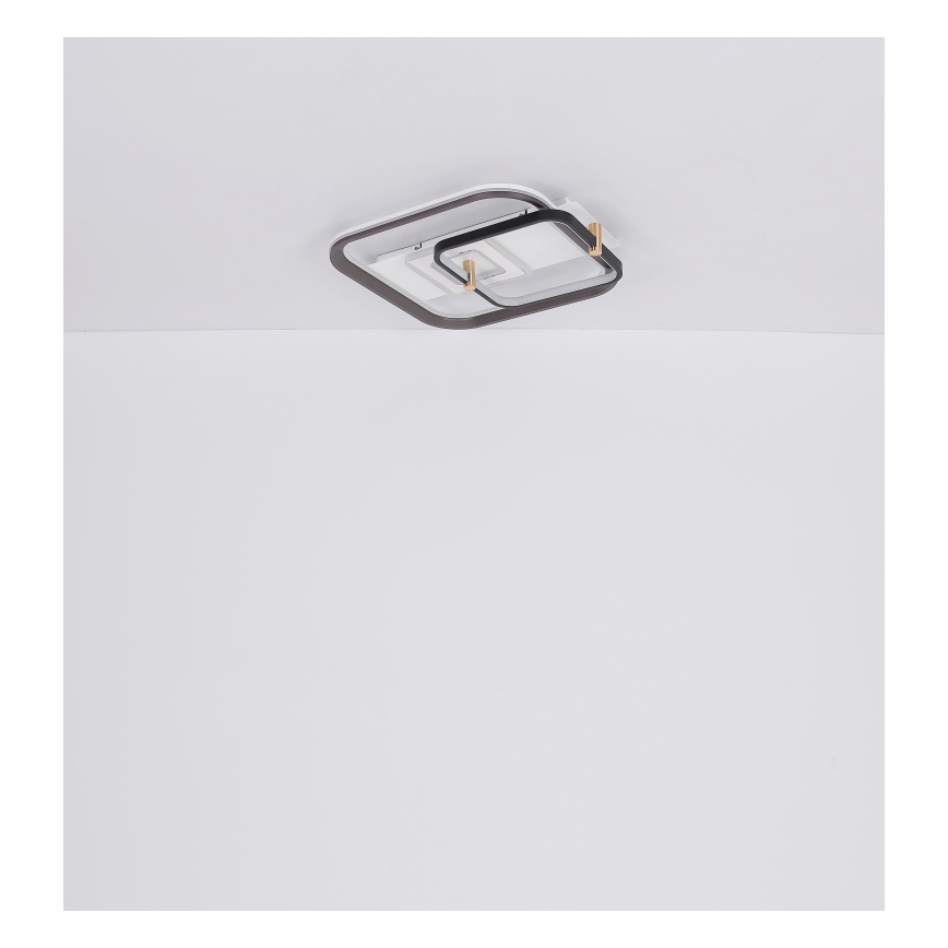 Globo 48459-48 - Dimeriuojamas LED lubinis šviestuvas ANI LED/48W/230V 2700-6000K 48x52 cm + nuotolinis valdymas