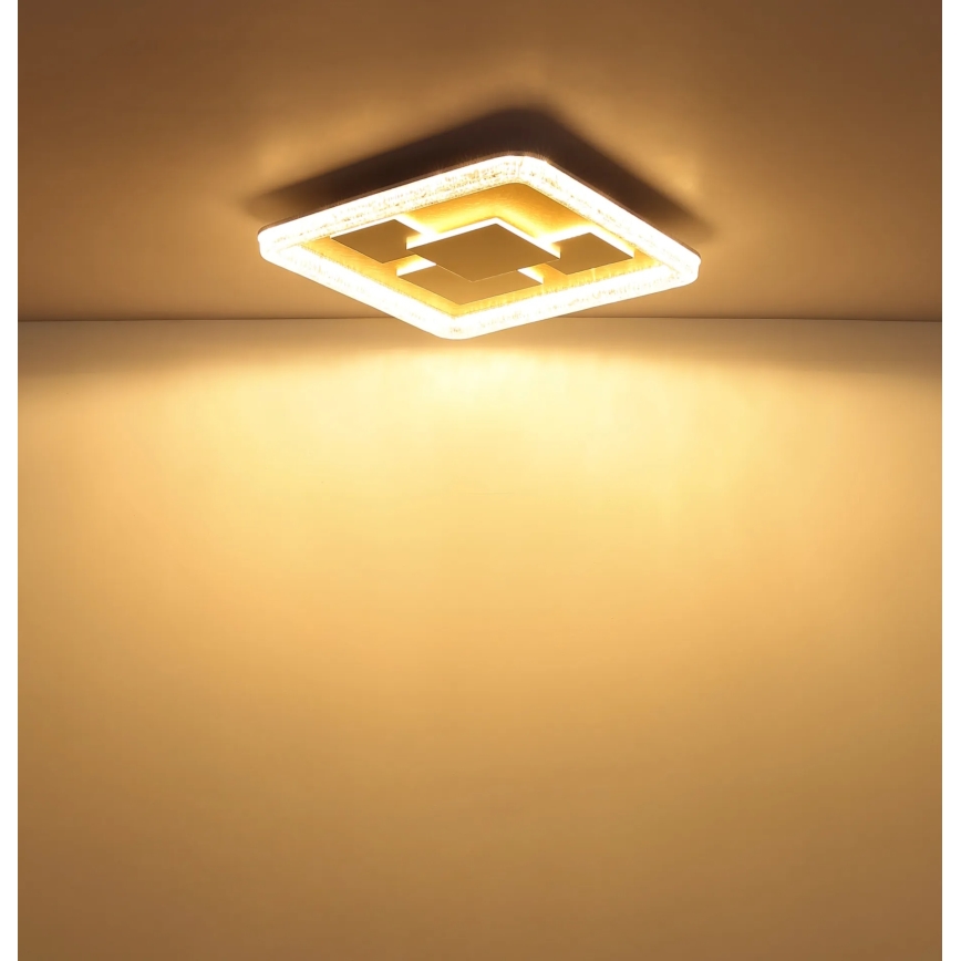 Globo - auksinis LED lubų šviestuvas LED/40W/230V 3000K 48,8x48,8 cm