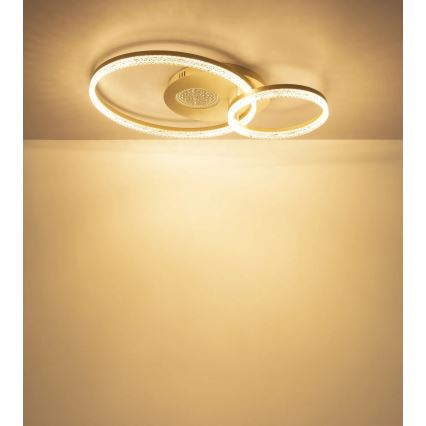 Globo - LED lubinis šviestuvas LED/30W/230V 3000K 70x50 cm smėlio spalvos