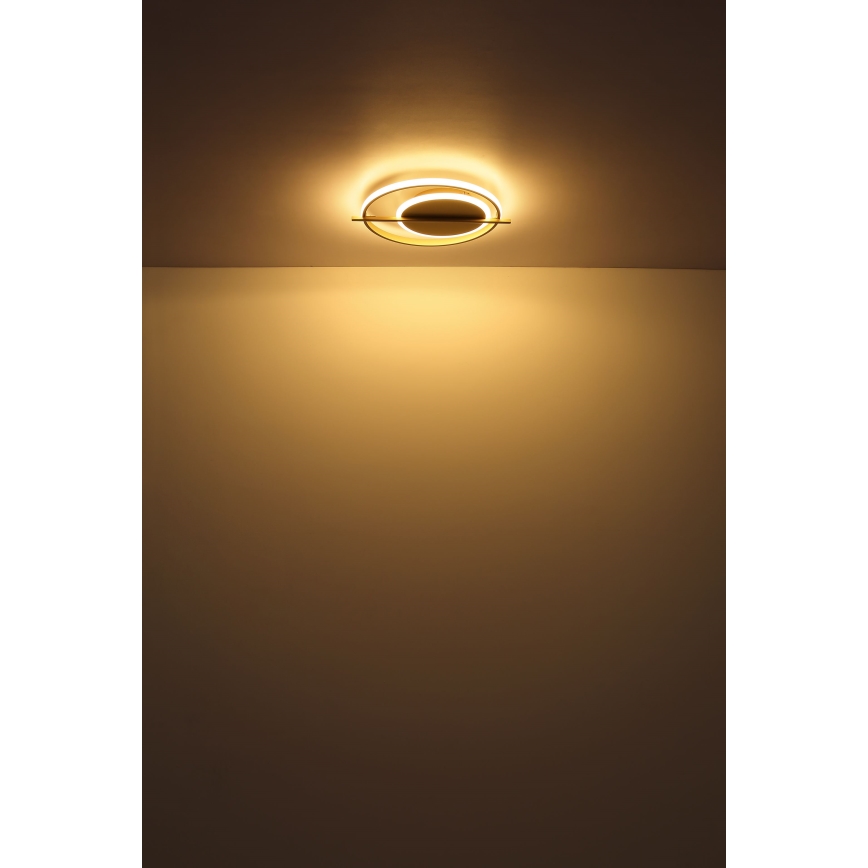 Globo - LED lubinis šviestuvas LED/36W/230V