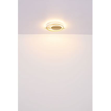 Globo - LED lubinis šviestuvas LED/36W/230V