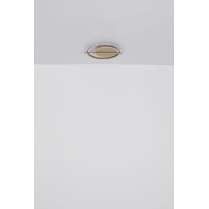 Globo - LED lubinis šviestuvas LED/36W/230V