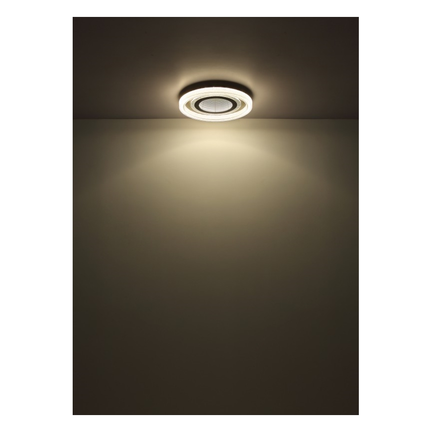 Globo - LED reguliuojamas lubų šviestuvas LED/48W/230V 2700-6000K skersmuo 48 cm antracitas + nuotolinio valdymo pultas