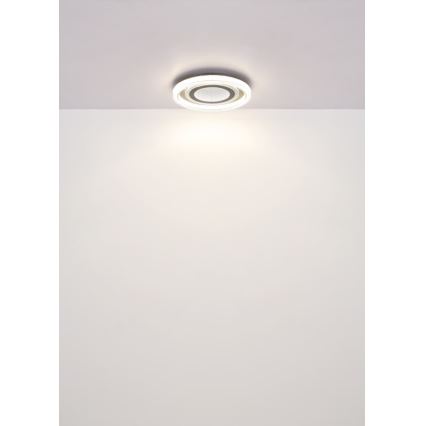 Globo - LED reguliuojamas lubų šviestuvas LED/48W/230V 2700-6000K skersmuo 48 cm antracitas + nuotolinio valdymo pultas