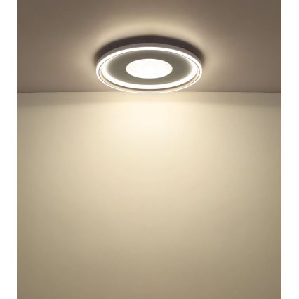 Globo - reguliuojamas LED lubų šviestuvas, 60 W, 230 V, 2700–6000 K, Ø 59 cm, smėlinis, su nuotolinio valdymo pultu