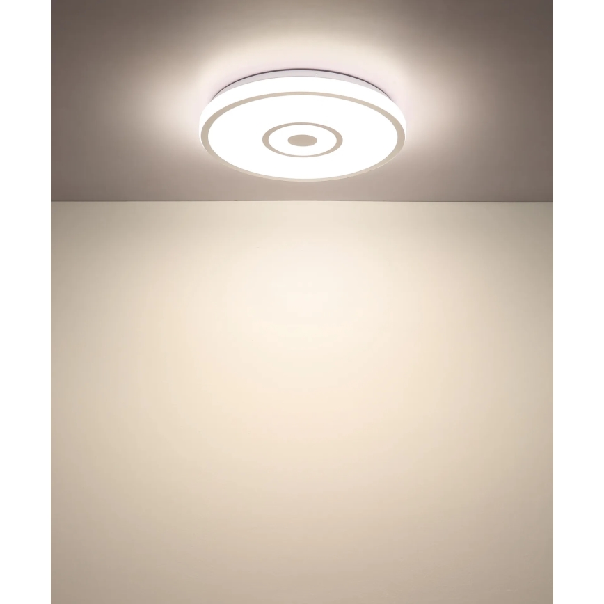 Globo - LED lubų šviestuvas LED/24W/230V 3000/4000/6000K, skersmuo 38 cm, matinis chromas