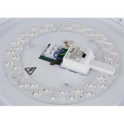 Globo - LED lubų šviestuvas LED/24W/230V 3000/4000/6000K, skersmuo 38 cm, matinis chromas