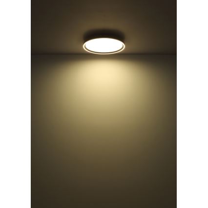 Globo - LED Pritemdomas lubinis šviestuvas LED/48W/230V 2700-6000K + nuotolinio valdymo pultas diametras 50 cm