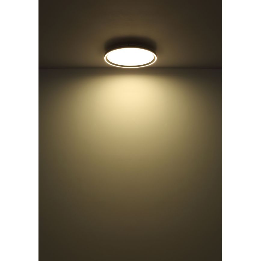Globo - LED Pritemdomas lubinis šviestuvas LED/48W/230V 2700-6000K + nuotolinio valdymo pultas diametras 50 cm