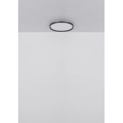 Globo - LED Pritemdomas lubinis šviestuvas LED/48W/230V 2700-6000K + nuotolinio valdymo pultas diametras 50 cm