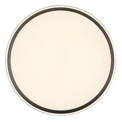 Globo - LED Pritemdomas lubinis šviestuvas LED/48W/230V 2700-6000K + nuotolinio valdymo pultas diametras 50 cm