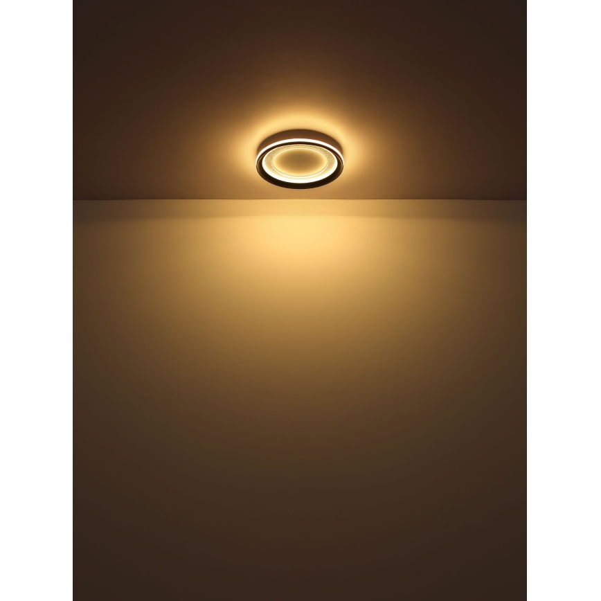 Globo - LED Pritemdomas lubinis šviestuvas LED/24W/230V 2700-6000K + nuotolinio valdymo pultas