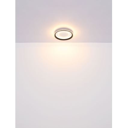Globo - LED Pritemdomas lubinis šviestuvas LED/24W/230V 2700-6000K + nuotolinio valdymo pultas
