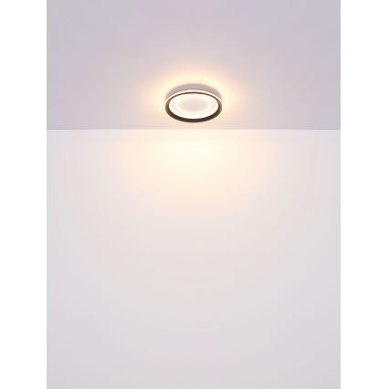 Globo - LED Pritemdomas lubinis šviestuvas LED/24W/230V 2700-6000K + nuotolinio valdymo pultas