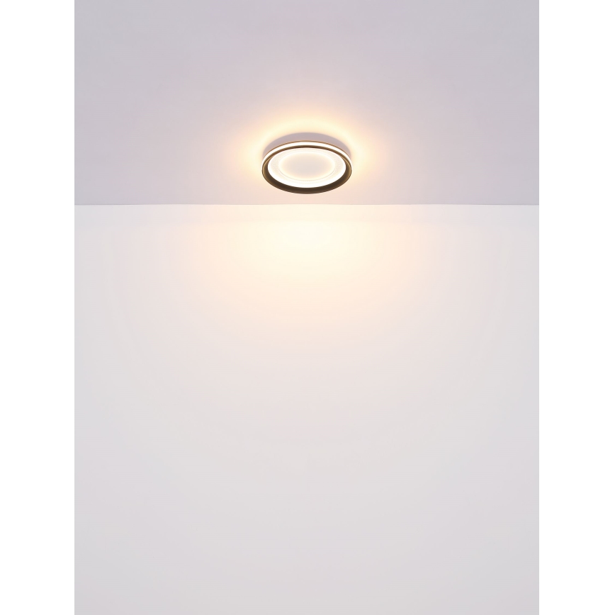 Globo - LED Pritemdomas lubinis šviestuvas LED/24W/230V 2700-6000K + nuotolinio valdymo pultas