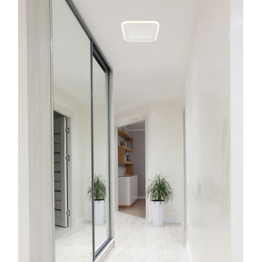 Globo - LED lubinis šviestuvas LED/12W/230V 4000K