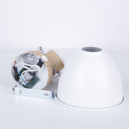 Globo - Sieninis kryptinis šviestuvas 1xE27/40W/230V