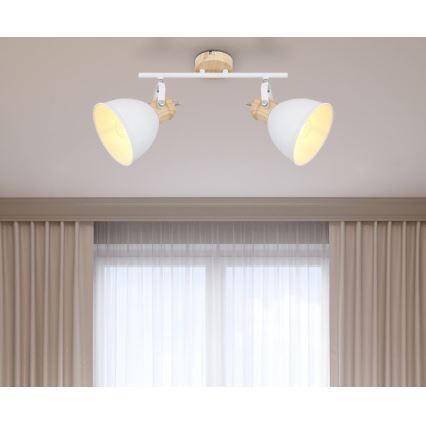 Globo - Akcentinis apšvietimas 2xE27/40W/230V