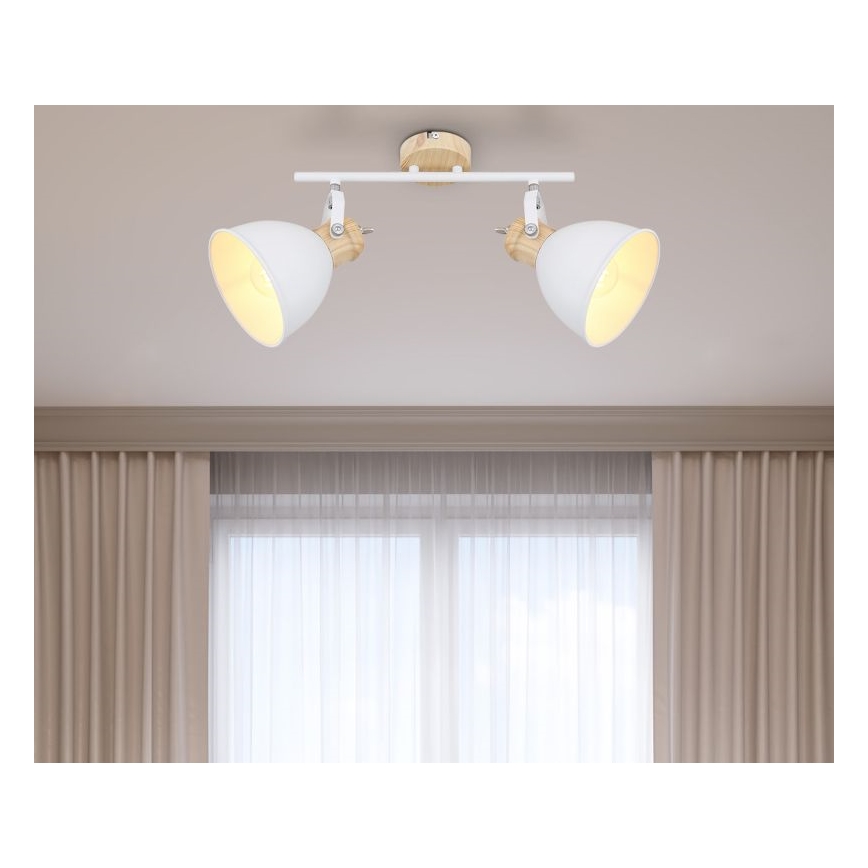 Globo - Akcentinis apšvietimas 2xE27/40W/230V