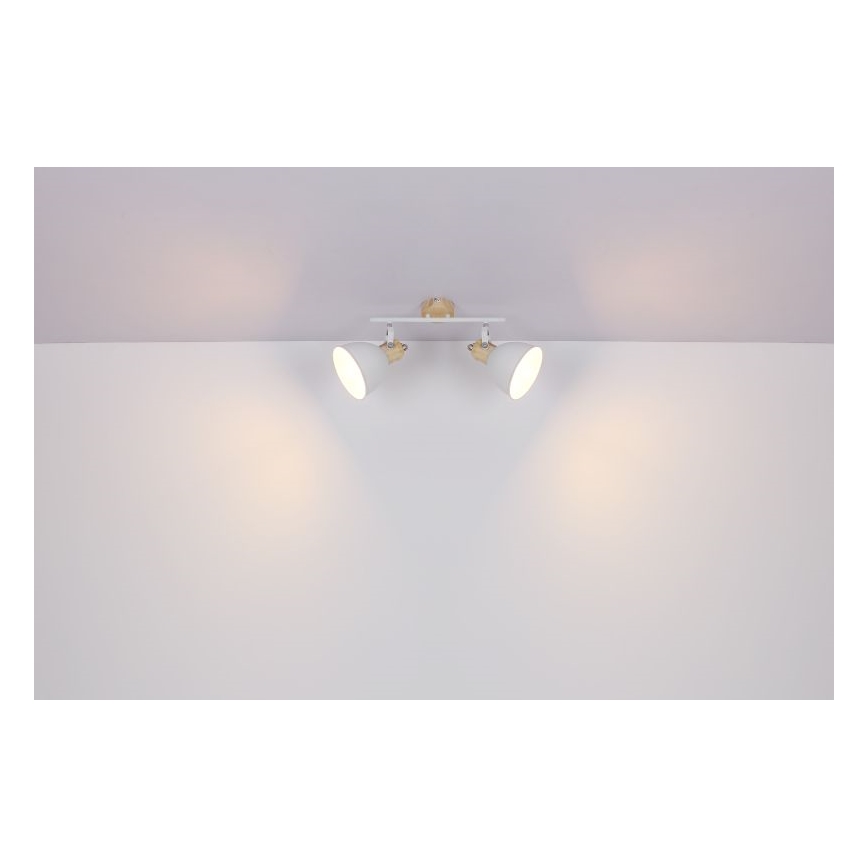 Globo - Akcentinis apšvietimas 2xE27/40W/230V