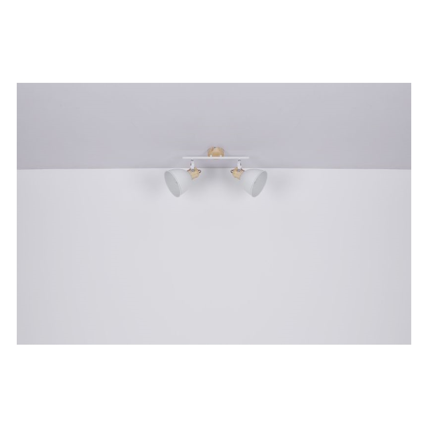 Globo - Akcentinis apšvietimas 2xE27/40W/230V
