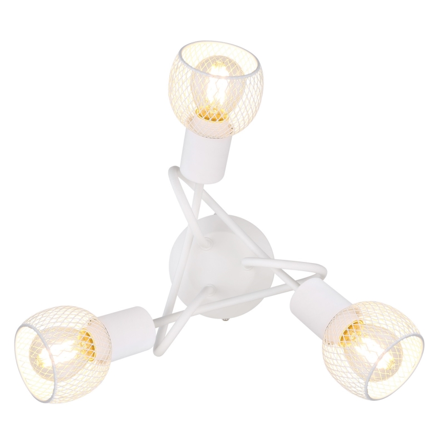 Globo - Tvirtinamas sietynas 3xE14/40W/230V