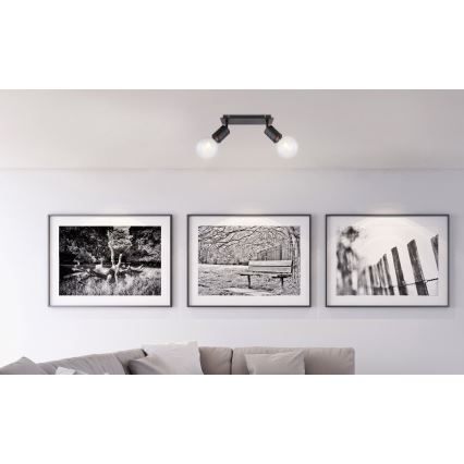 Globo - Akcentinis apšvietimas 2xE27/60W/230V