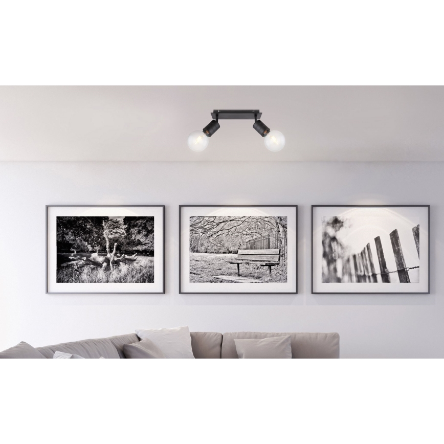 Globo - Akcentinis apšvietimas 2xE27/60W/230V