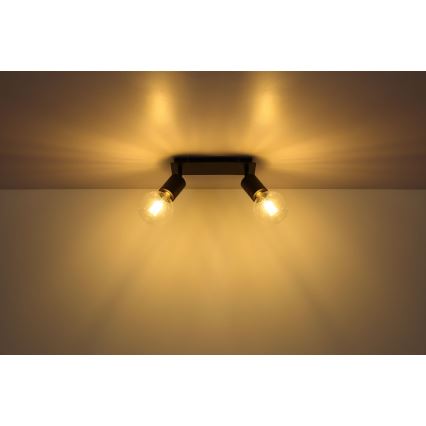 Globo - Akcentinis apšvietimas 2xE27/60W/230V