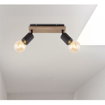 Globo - Akcentinis apšvietimas 2xE27/60W/230V tuopos