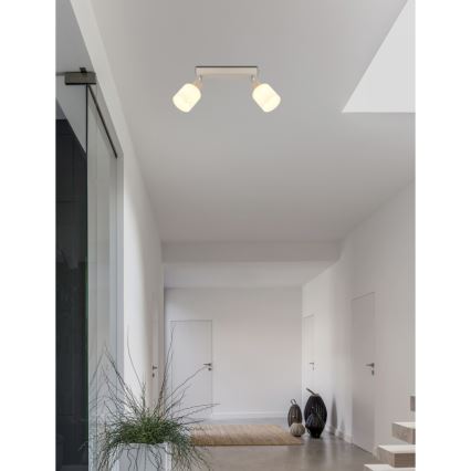 Globo - Kryptinis šviestuvas 2xE14/25W/230V