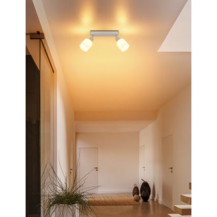 Globo - Kryptinis šviestuvas 2xE14/25W/230V