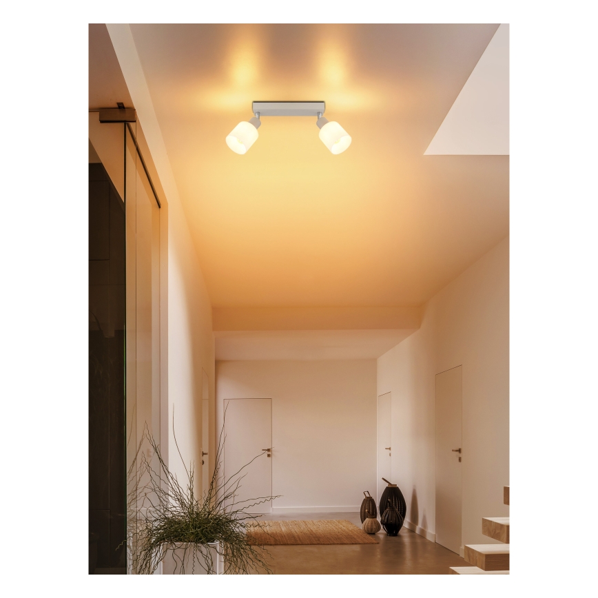 Globo - Kryptinis šviestuvas 2xE14/25W/230V