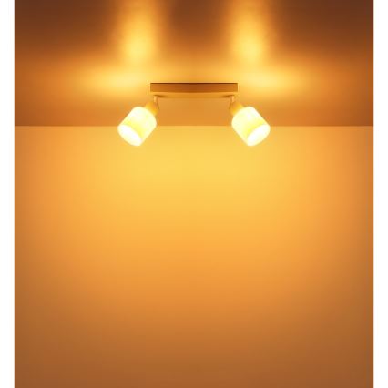 Globo - Kryptinis šviestuvas 2xE14/25W/230V