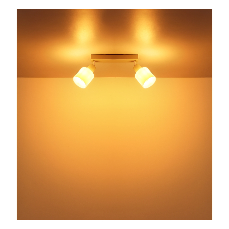 Globo - Kryptinis šviestuvas 2xE14/25W/230V