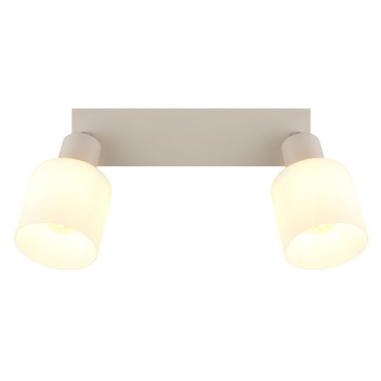 Globo - Kryptinis šviestuvas 2xE14/25W/230V