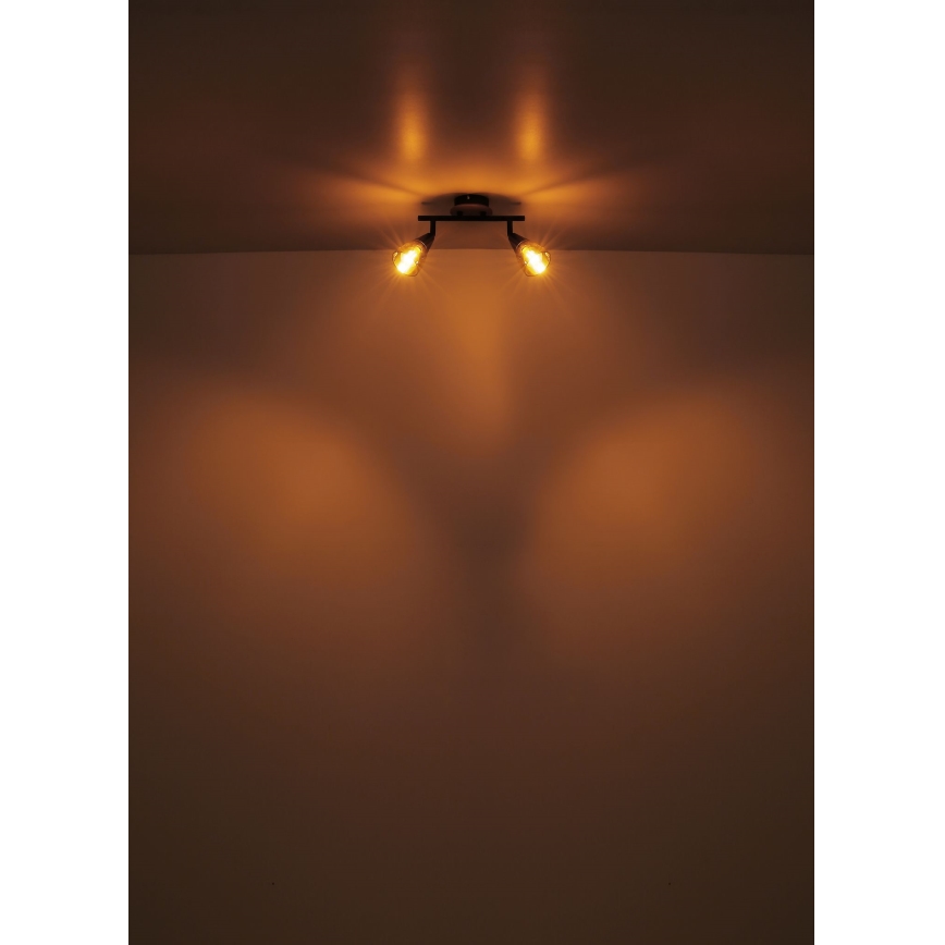 Globo - Akcentinis apšvietimas 2xE14/25W/230V