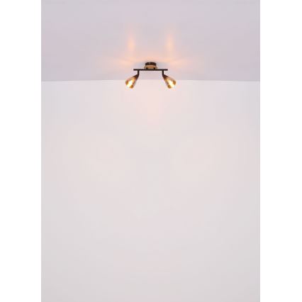 Globo - Akcentinis apšvietimas 2xE14/25W/230V