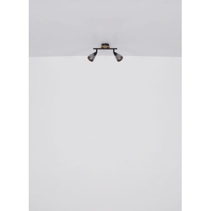 Globo - Akcentinis apšvietimas 2xE14/25W/230V